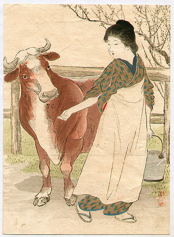 Коровы и япония