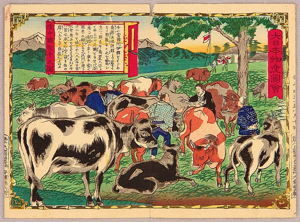 защитники коров Самураи